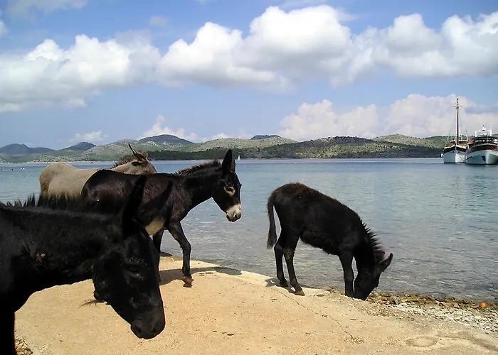 Σπίτι διακοπών Dumboka Sali