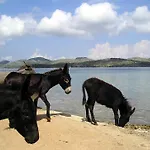 Holiday home Dumboka Sali