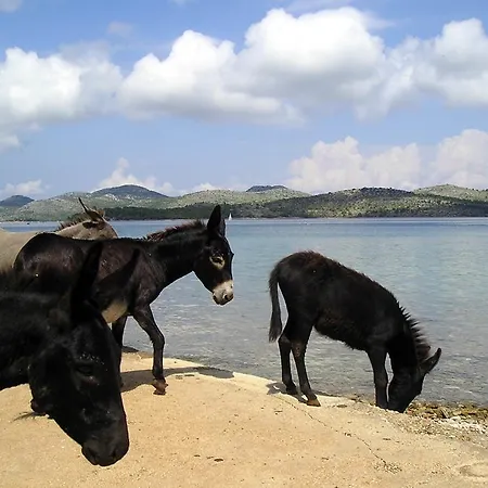 Hébergement de vacances Dumboka Sali